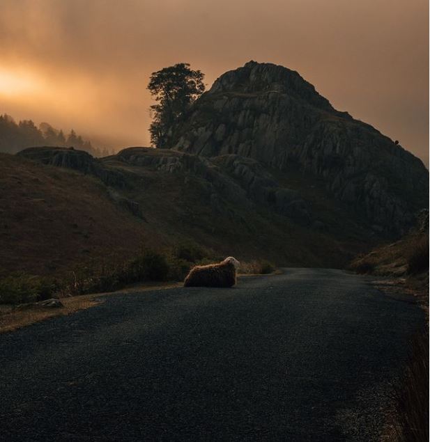Lake District Farmers